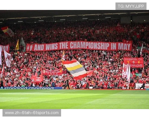 英超各球队球迷文化与支持者背景