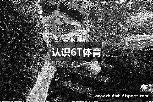 认识6T体育